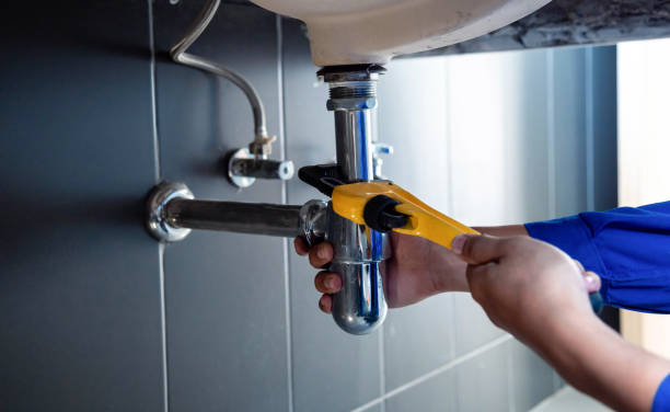 Best Plumbing System Maintenance  in Swansea, IL